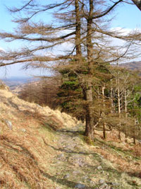 National Forest Park Gougane Barra