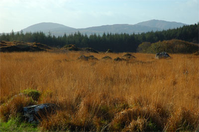 Douce and Doughill, Inchigeelagh, Ballingeary, Cork