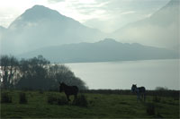Scenery Lough Guitane Co Kerry