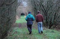 walk at the Gearagh, Macroom